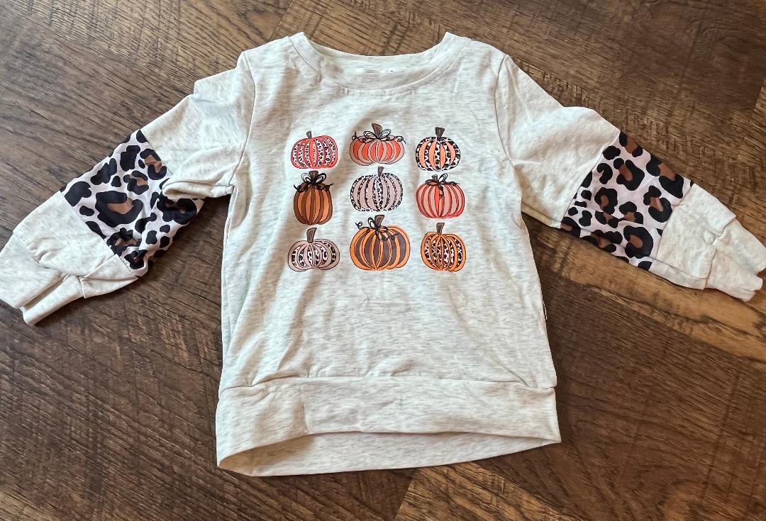 Long Sleeve Pumpkin Shirt in Size 3T