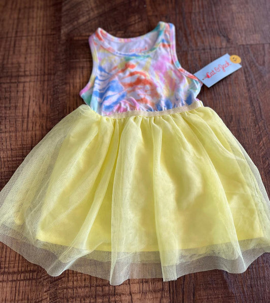 18 Month Tie Dye Sleeveless Tutu Dress